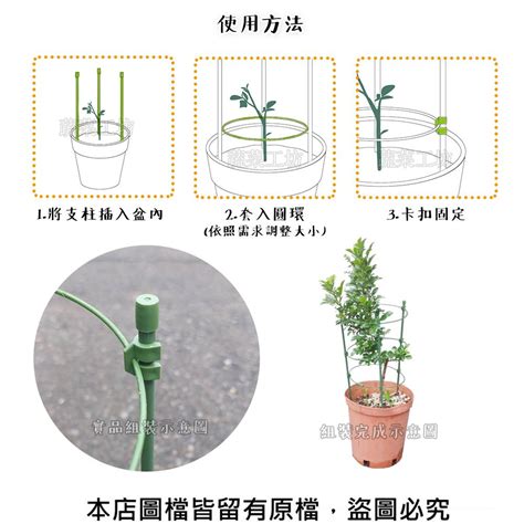 植物攀藤架